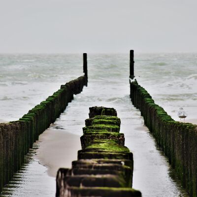 “Veel verder dan een schreeuw uit de diepte kwam ik niet” #burn-out