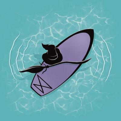 PADDLE - Les compétitions sportives estivales