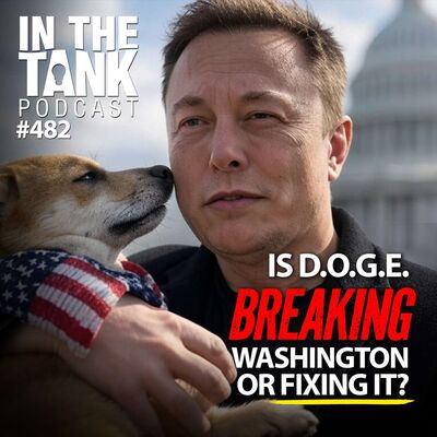 Is DOGE Breaking Washington, or Fixing it? - In The Tank #482