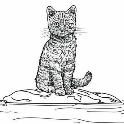 Kitten on a Fatberg