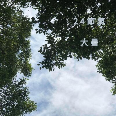 英國ＳＰ台灣 24節氣與純質精油 大暑