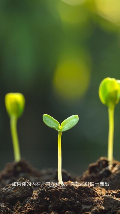 自己的人生是否完整，誰説了算