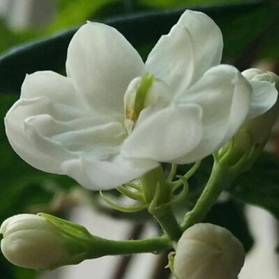 欢迎大家来到汇明馆，从此开启不一样的人生