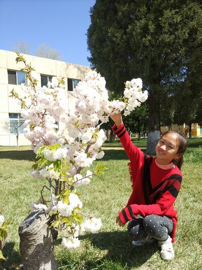 我的作文：滨河公园的春天