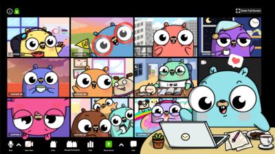 第 1 期：参加 GopherCon 2020