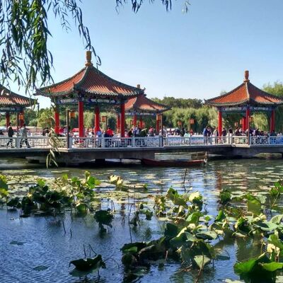 汇明赏析杨羽仪《水乡茶居》——品茗亦是品味生活 下集