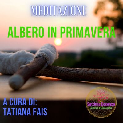 MEDITAZIONE DELL' ALBERO IN PRIMAVERA