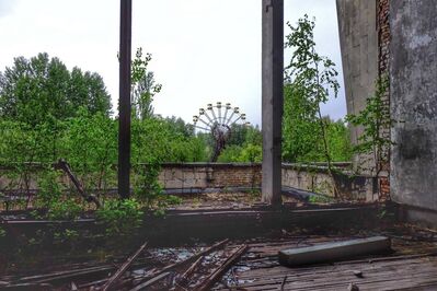 "La naturaleza ha engullido y transformado las ciudades de la zona de exclusión de Chernobyl"