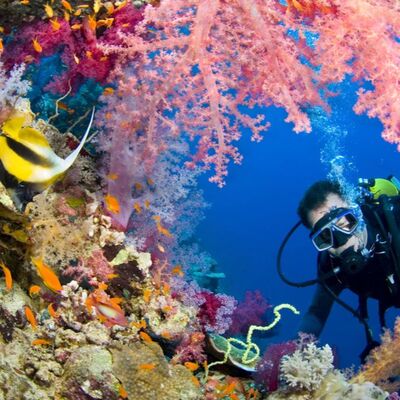 How Long Can You Live Underwater?
