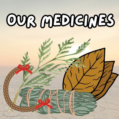 Our Medicines