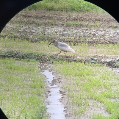  汉水日记之十：石泉到汉中 