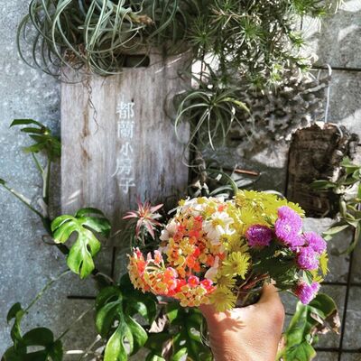 EP19 台東浪人生活記錄/ 都蘭小房子 喬治