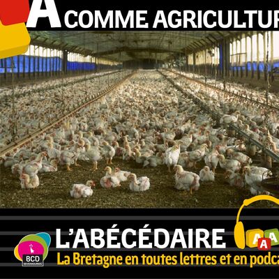 Episode 31 : A comme agriculture