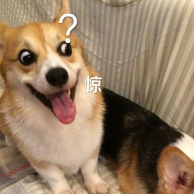 两女子偷窃为躲刑罚反复怀孕