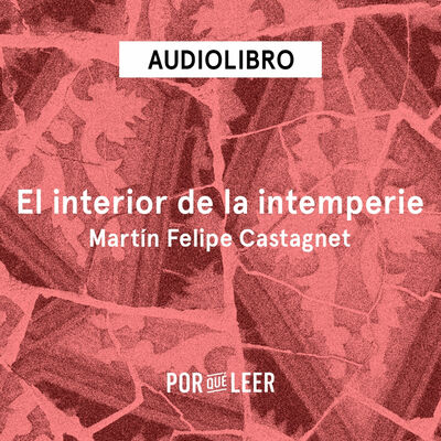 El interior de la intemperie - Martín Felipe Castagnet
