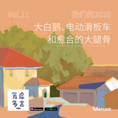 Vol.11: 大白鹅、电动滑板车和愈合的大腿骨：我们的 2020