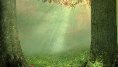 起床清醒-放下不必要的回憶A-f 