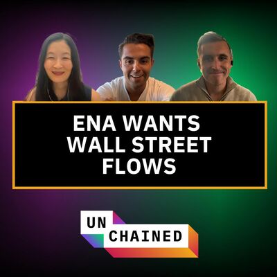 Which Types of Crypto Assets Make for Good Treasury Companies?  - Ep. 885