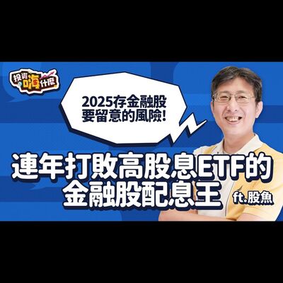連年打敗高股息ETF 0056、00713 的金融股配息王🏆2025存金融股要留意的風險以及投資的最佳時間點！【股魚嗨什麼】EP129 ft.股魚《投資嗨什麼》