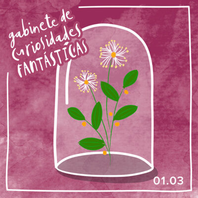 Coleccionable 3: La vegetación que crece a nuestro alrededor…