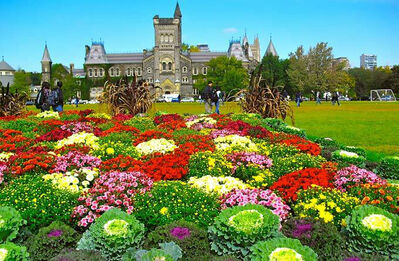 【果果妈妈讲故事】第42集 王后的花园