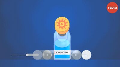 What causes opioid addiction, and why is it so tough to combat? | Mike Davis