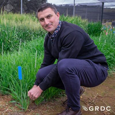Spot on fungicide application for rhizoctonia