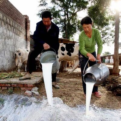 Spilled Milk: How the Melamine Scandal Impacted China