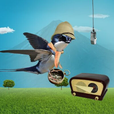 Golondrina: la viajera fotográfa