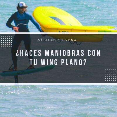 44 - ¿Haces maniobras con tu WING plano?