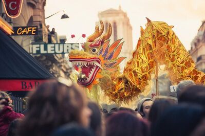 【风俗人情】金猪到！华人在国外过春节是什么感受？