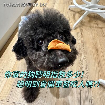 EP.147 狗狗智商大排名 ! 聰明到會開窗戶咬人的狗又有哪些(誤) ? 為何關於狗的成語、俚語都是罵人的居多 ?