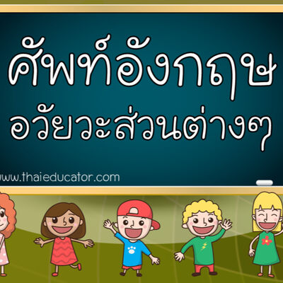คำศัพท์ที่ใช้ในชีวิตประจำวัน หมวด ร่างกาย
