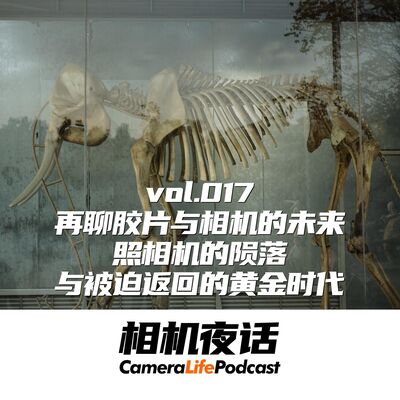 相机夜话 Vol.17 再聊胶片与摄影的未来：照相机的陨落与被迫返回的黄金时代