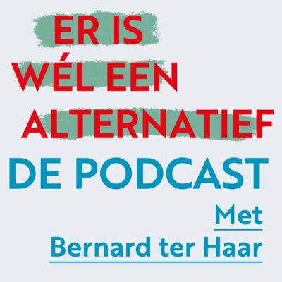 Er is wél een alternatief: Een overheid die levert