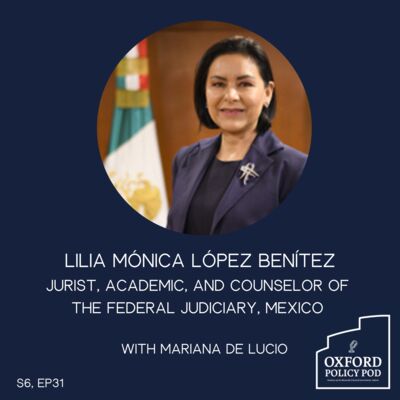 The Mexican Judicial Overhaul: resisting democratic backsliding