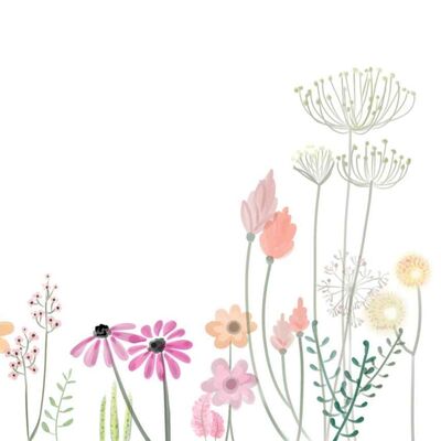 Les plantes et les fleurs