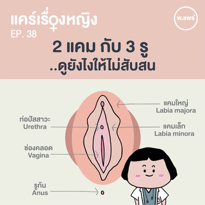 แคร์เรื่องหญิง EP.38 หน้าตาน้องสาว และรูของน้อง