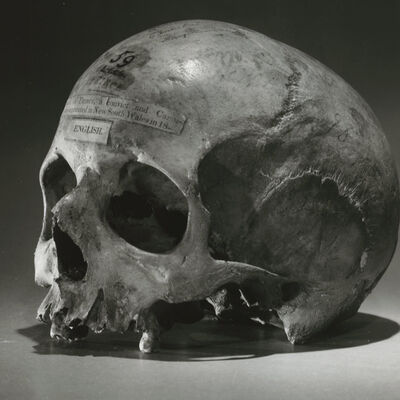 Ep 60 Alexander Pearce - Cannibal Pt 3: Australian History