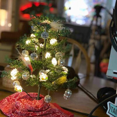 Tailer Trash Fly Fishing - Gurgler v. Frog