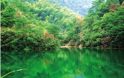 《上林湖之绿》作者：俞强 朗诵：一剑