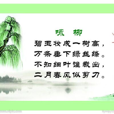 《咏柳》-王一迪朗诵