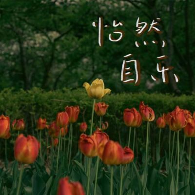 002｜在初夏写一本春日回忆录
