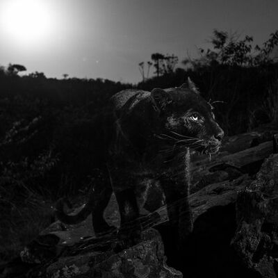 NEWS FOR YOU 2/13/2019