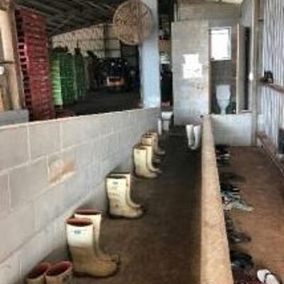 Snapshot - February 2019