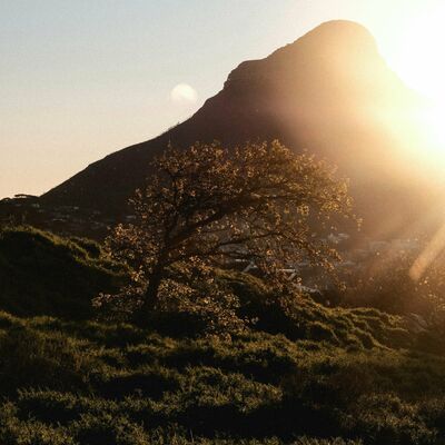 111: The transfigured Jesus with Patrick Schreiner