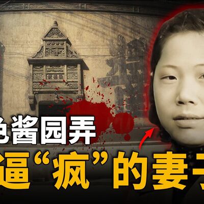 酱园弄杀夫夜，她用菜刀终结了九年家暴却引起众怒和全民批判.....