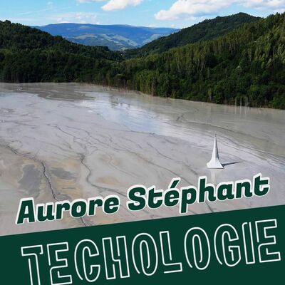 #64 Matérialité du numérique et externalités minières, avec Aurore Stéphant