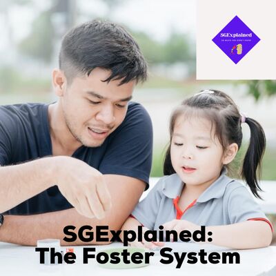 The Foster System